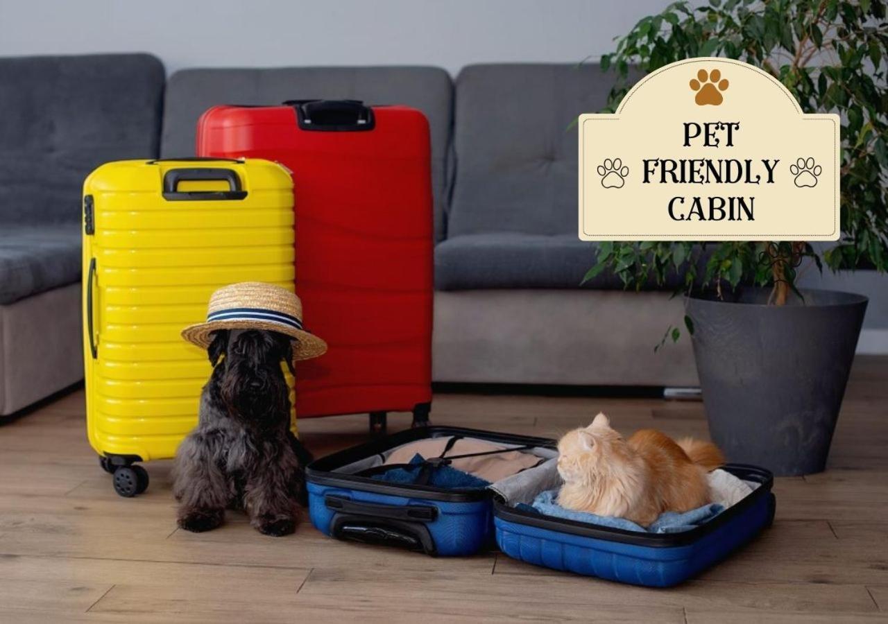 Fabulous Pet-Friendly, Family Cabin With Outdoor Kitchen, Hot Tub, Sauna, Fireplace, Theater Room, Arcade, Pool Table, And Fire Pit Within Minuties Of Dollywood Сев'єрвілл Екстер'єр фото